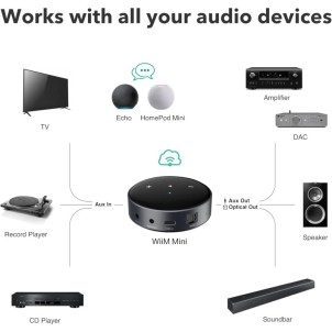 WiiM Mini Network Audio Streamer Hi-Res DAC TI PCM5151 AirPlay2 Spotify Tidal Bluetooth Analog in-out Digital out