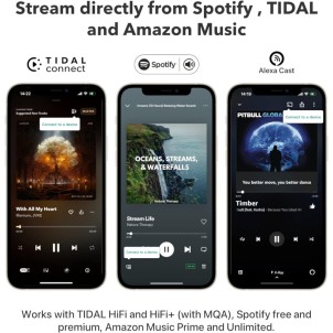 WiiM Pro Network Audio Streamer Hi-Res DAC TI PCM5151 AirPlay2 Chromecast Spotify Tidal Bluetooth Controllo Vocale