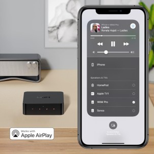 WiiM Pro Network Audio Streamer Hi-Res DAC TI PCM5151 AirPlay2 Chromecast Spotify Tidal Bluetooth Controllo Vocale