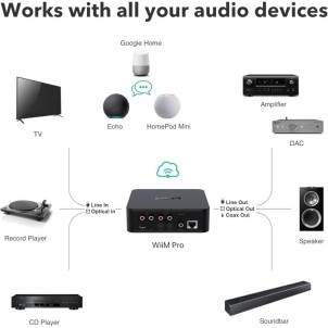 WiiM Pro Network Audio Streamer Hi-Res DAC TI PCM5151 AirPlay2 Chromecast Spotify Tidal Bluetooth Controllo Vocale