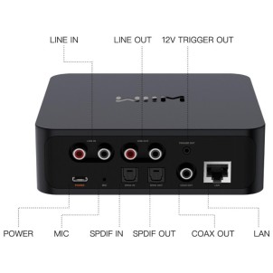 WiiM Pro Network Audio Streamer Hi-Res DAC TI PCM5151 AirPlay2 Chromecast Spotify Tidal Bluetooth Controllo Vocale